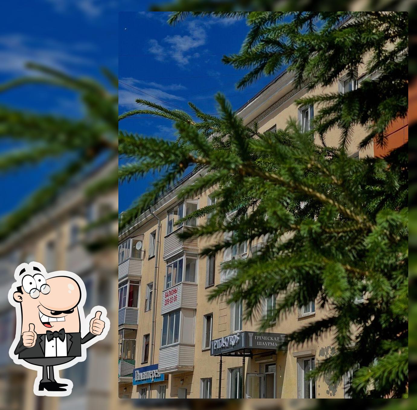 Греческая шаурма