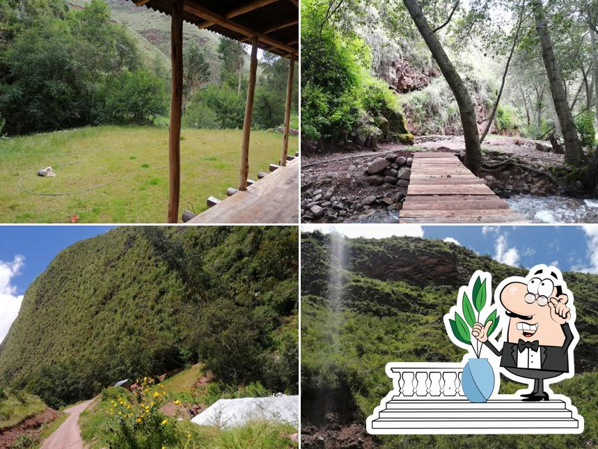 Piscigranja "Los Alisos"