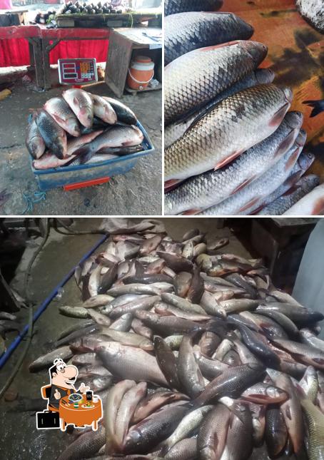 Fish Point