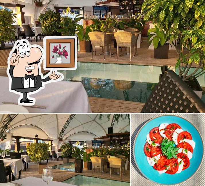 Интерьер "Кафе SeaZone"