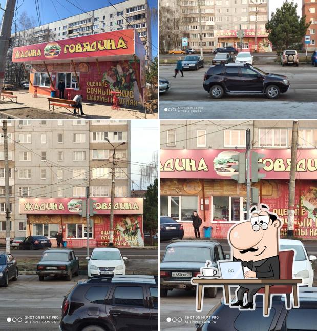 Жадина говядина