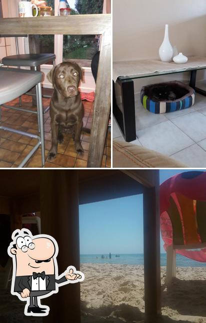 Sous La Table