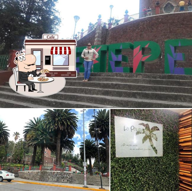 La Palma Del Sur