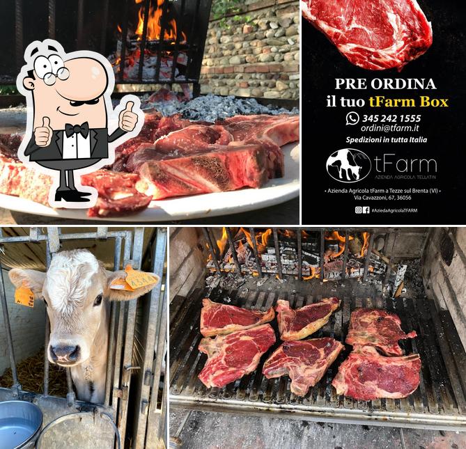 TFARM - AZIENDA AGRICOLA TELLATIN