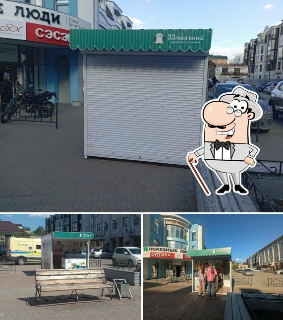 33 Пингвина