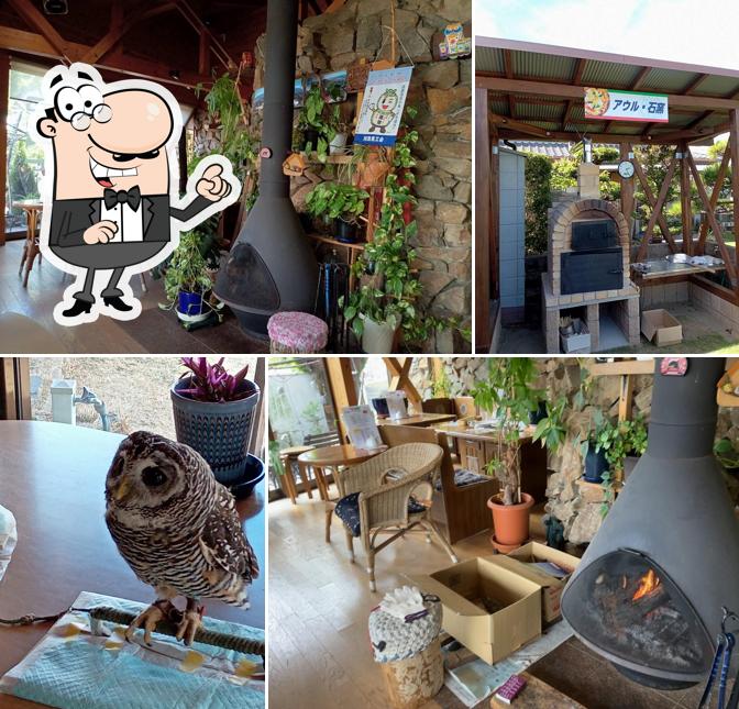 Pizza house OWL