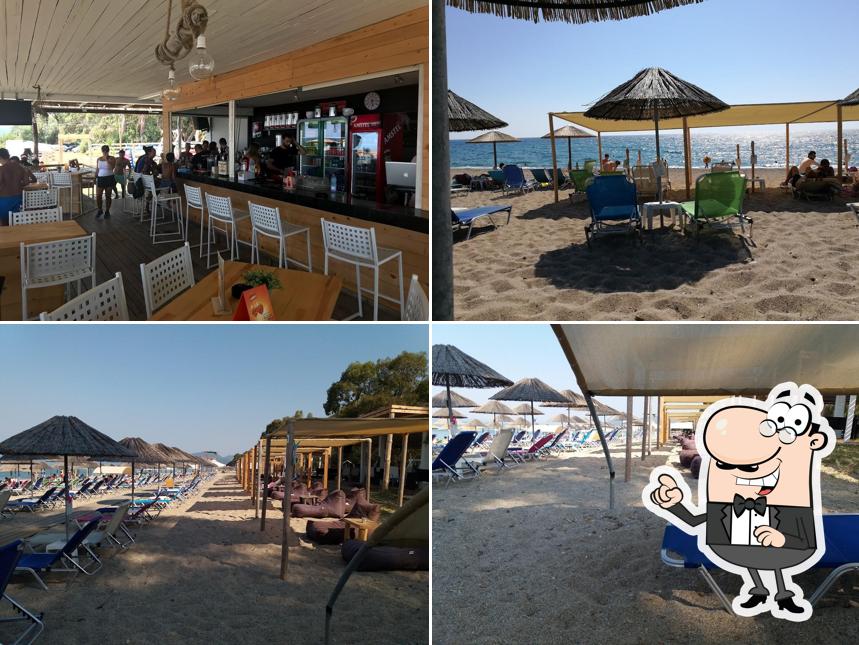 Barracuda Beach Bar