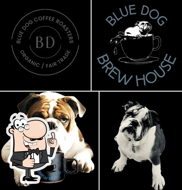 Blue Dog Brew House