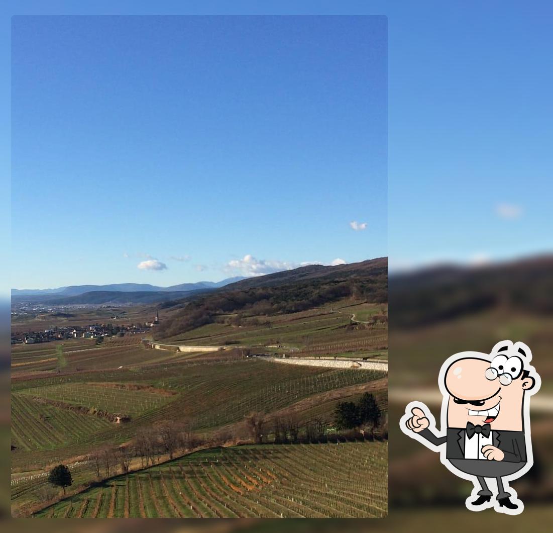 Weinstrasse