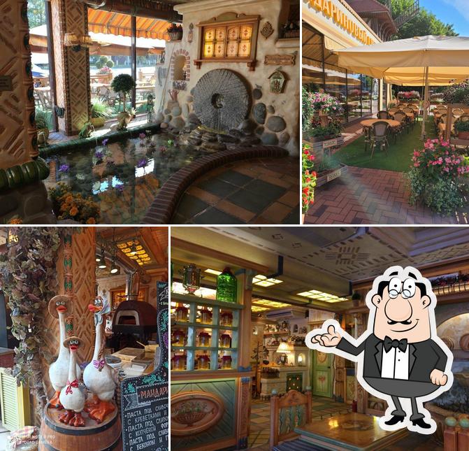 Мандариновый гусь