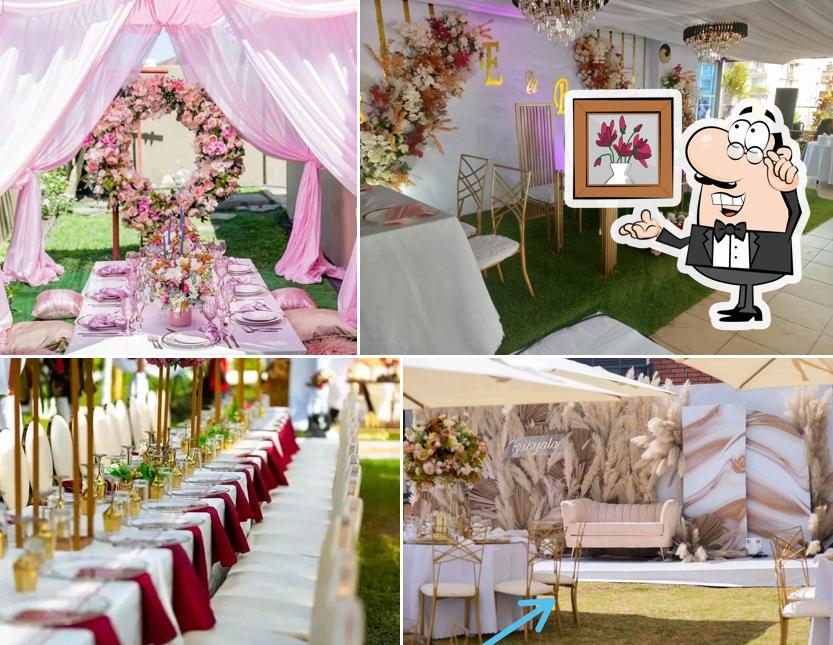 AVEMARIA FOODS AND EVENTS