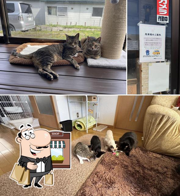 保護猫かふぇ にゃにゃはち ２