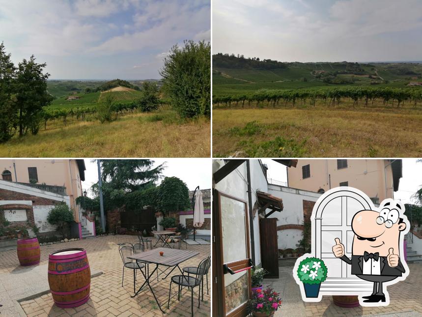 Enosteria Semi di Vino