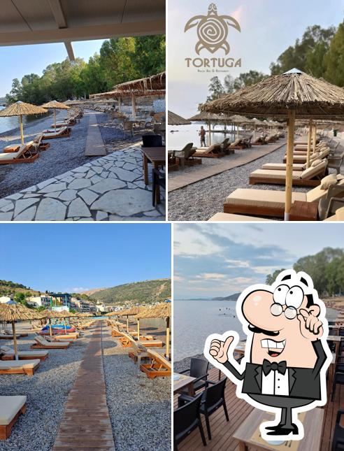 Tortuga Beach Bar & Restaurant Amfilochia