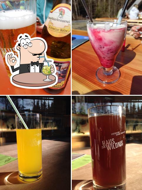 Gastronomie im Haus der Wildnis