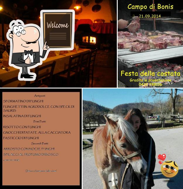 Campo Di Bonis Taipana