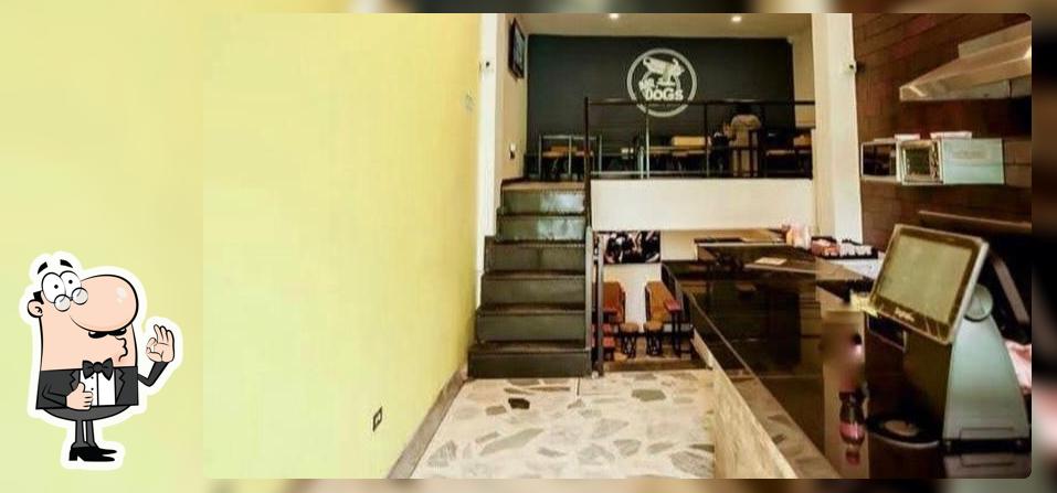 Mr. Dogs Centro