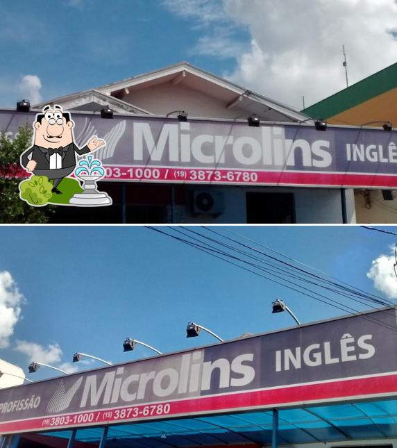 Microlins