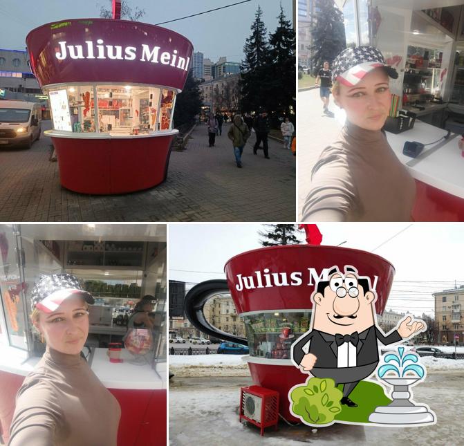 Юлиус Майнл