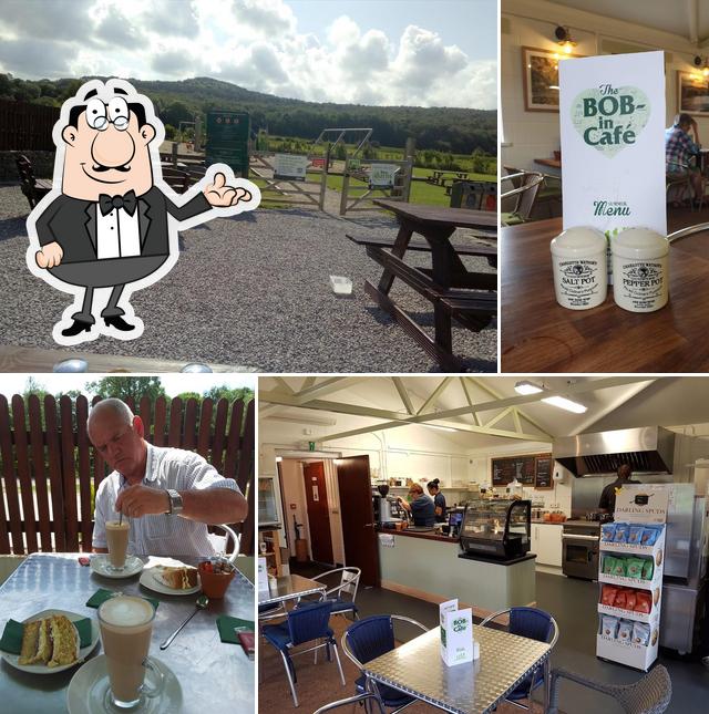 The Bob-In Café