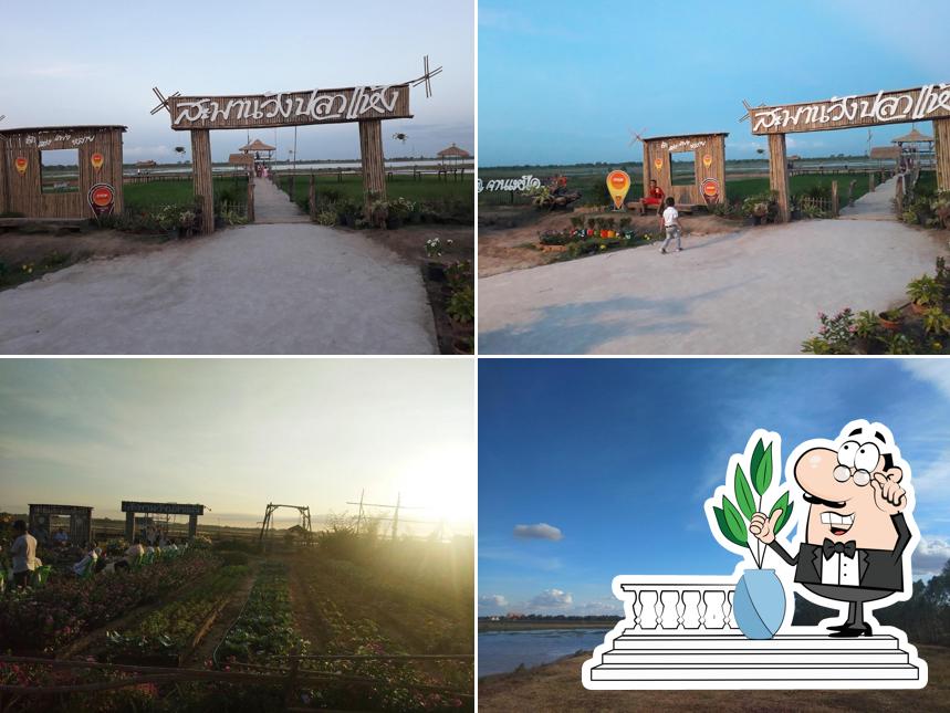 สะพานวังปลาแห้ง บ้านจานเหนือ