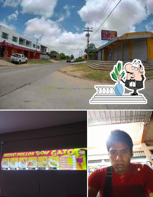 POLLOS "DON GATO"
