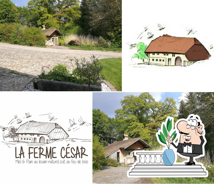 La Ferme César