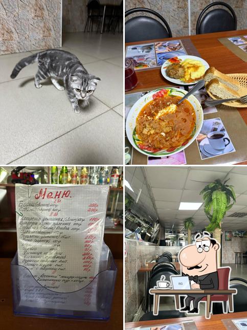 Круиз