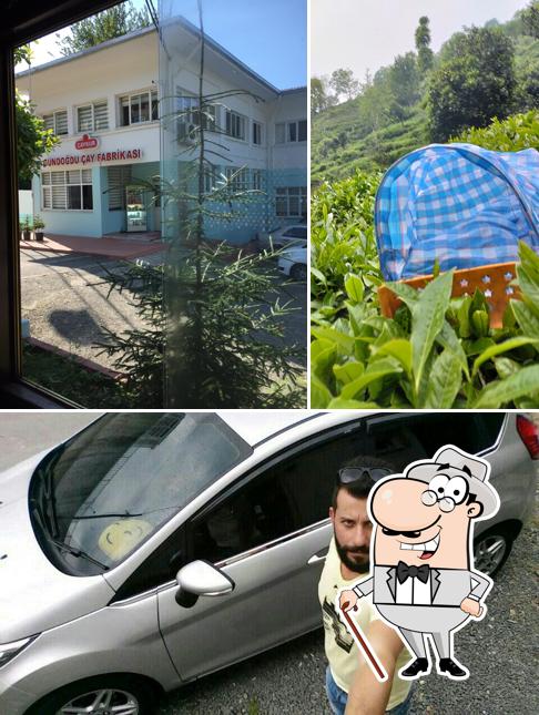 Çaykur Gündoğdu Çay Fabrikasi