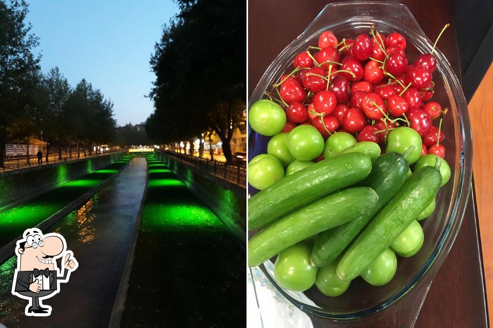 Yol-Is Sendikası