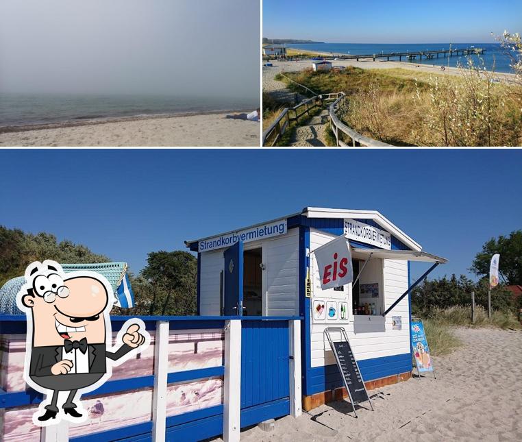 Strandkorbvermietung (kein Hundestrand)