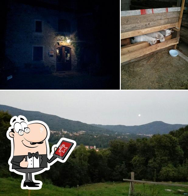 Azienda Agrituristica Cà d'Andrei