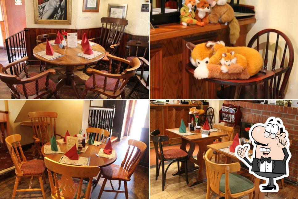 The Fox