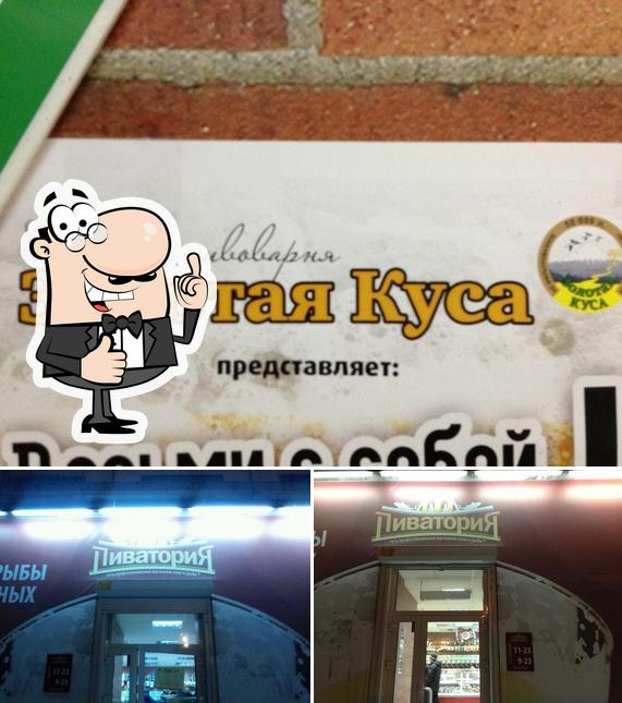 Пиватория