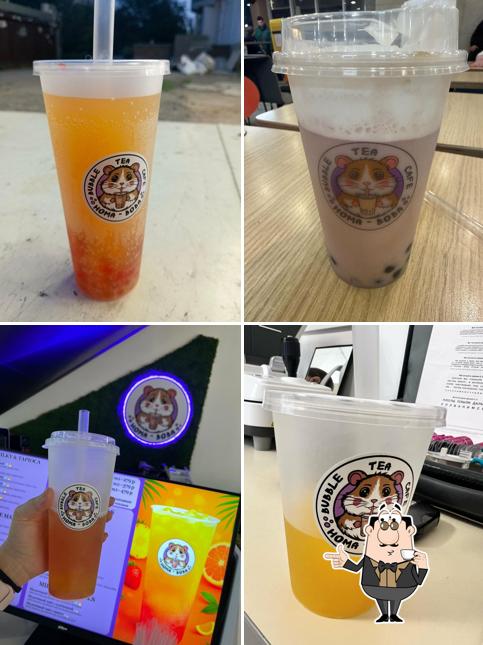 Homa-Boba