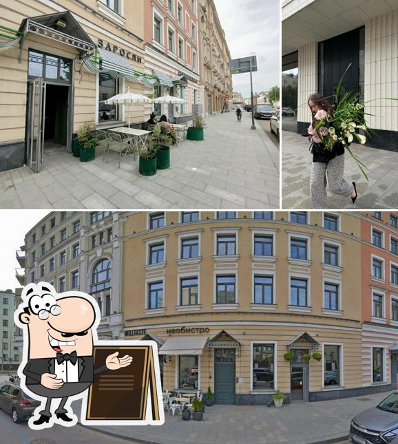 Заросли