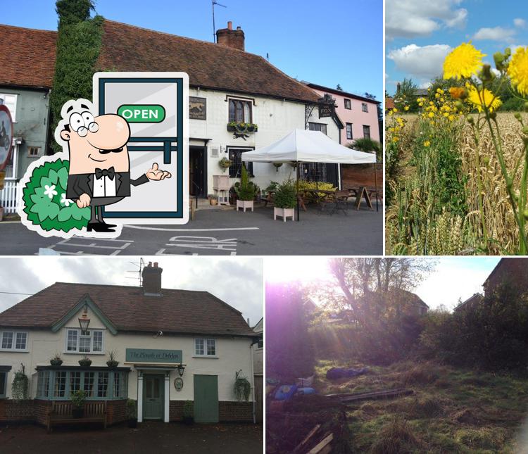 The Plough