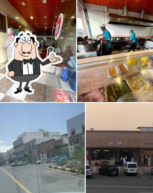 فوال النيل