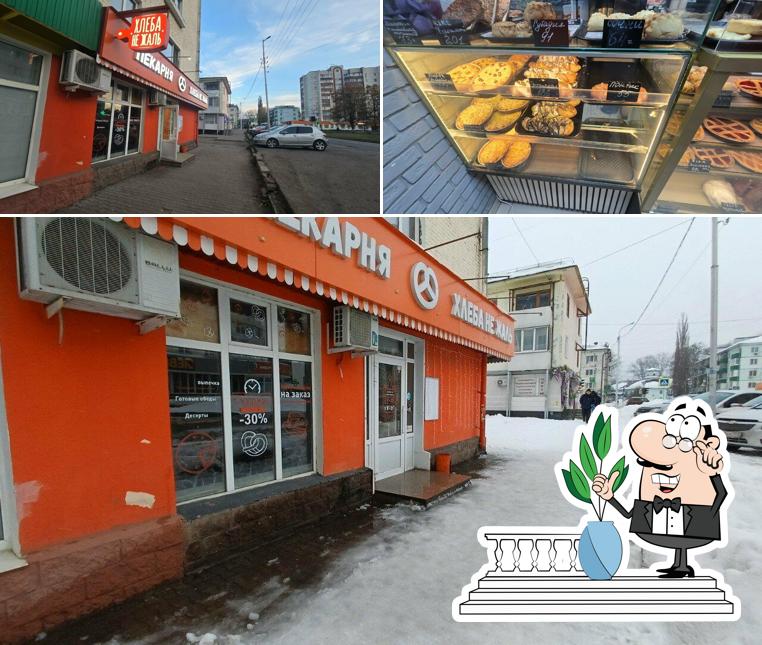 Хлеба не жаль