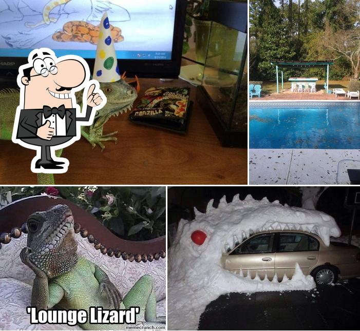 The Lizzard Lounge