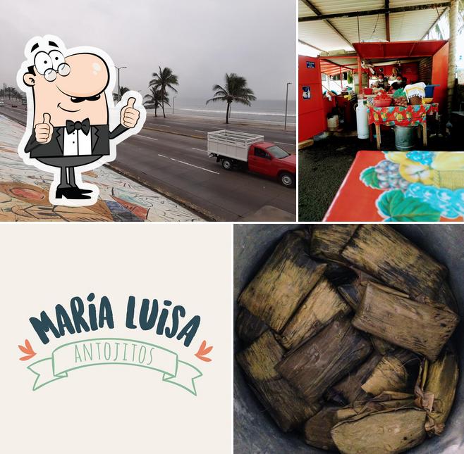 Antojitos Maria Luisa