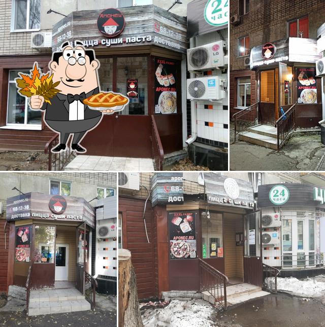 Апонец