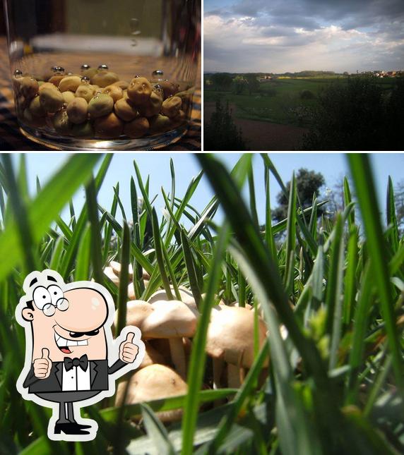 GastroBerga Aviá