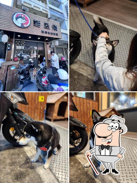 麵屋柴