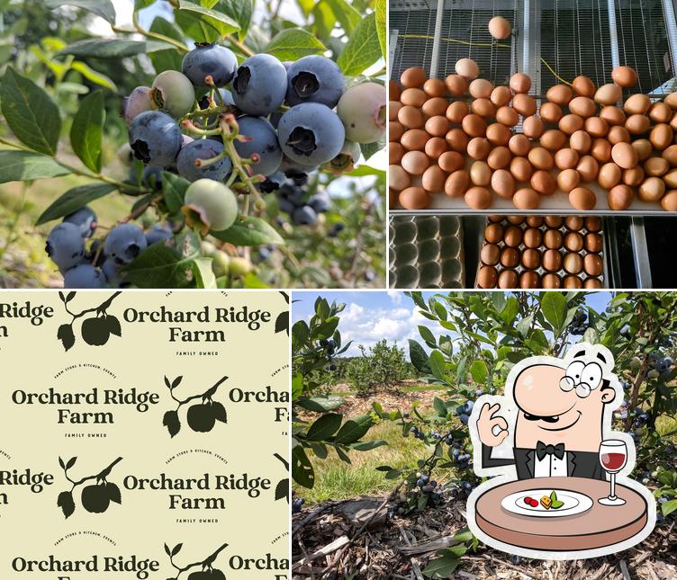 Orchard Ridge Farm