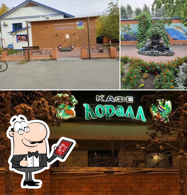 Барашка