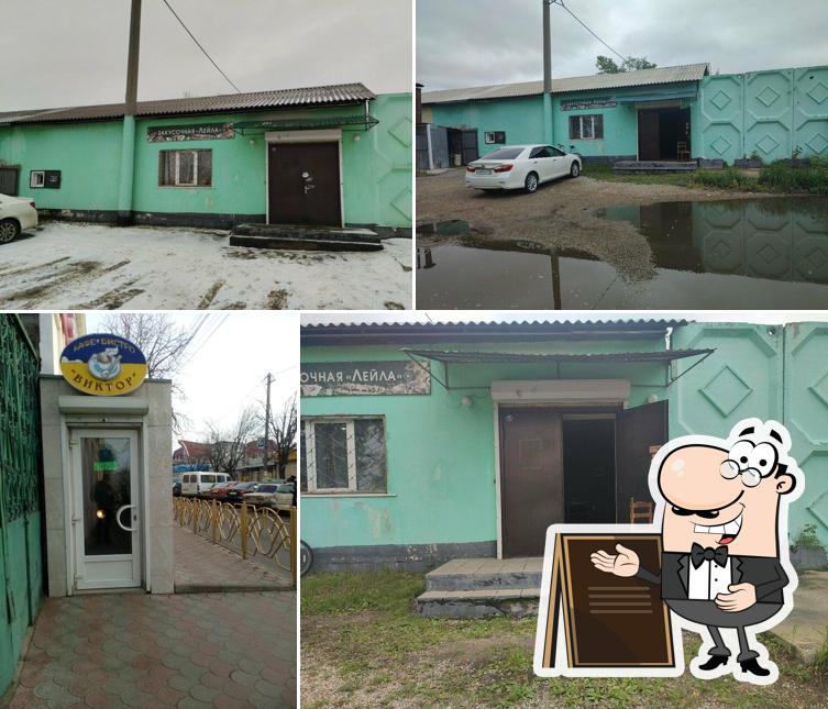 Лейла