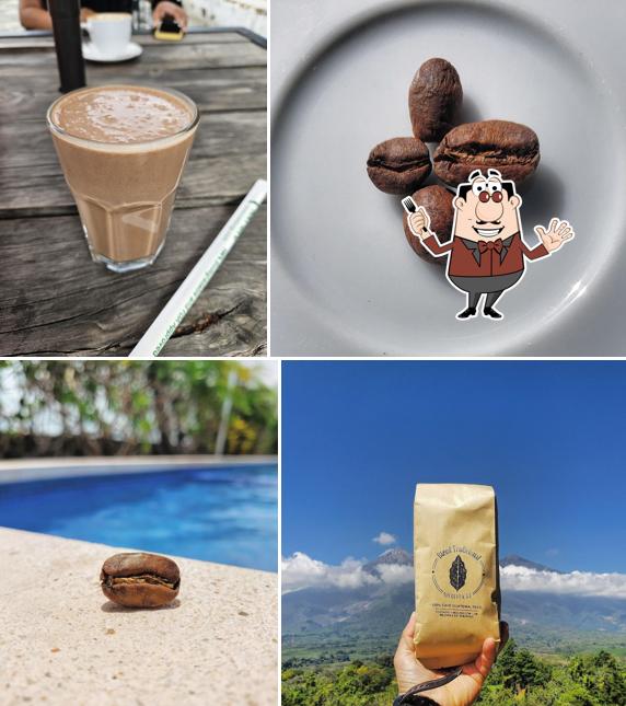 Coffea Cafés Especiales