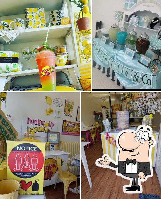 Pucker Up Lemonade Company