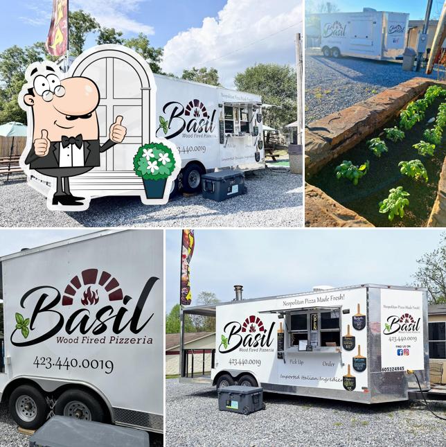 Basil Wood Fired Pizza